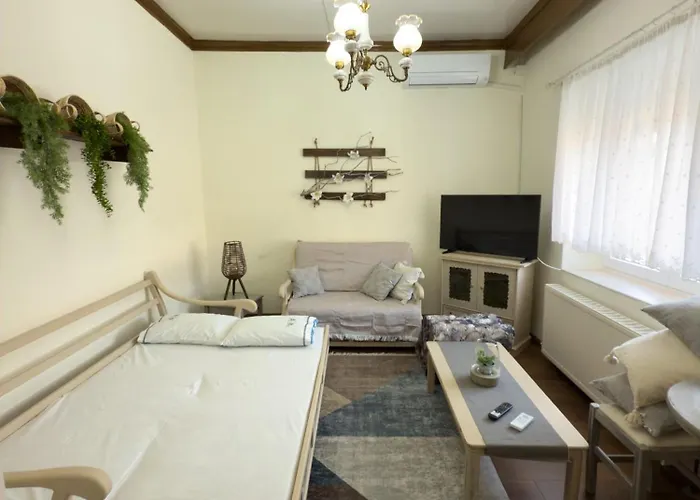 公寓 Olympus Nest *